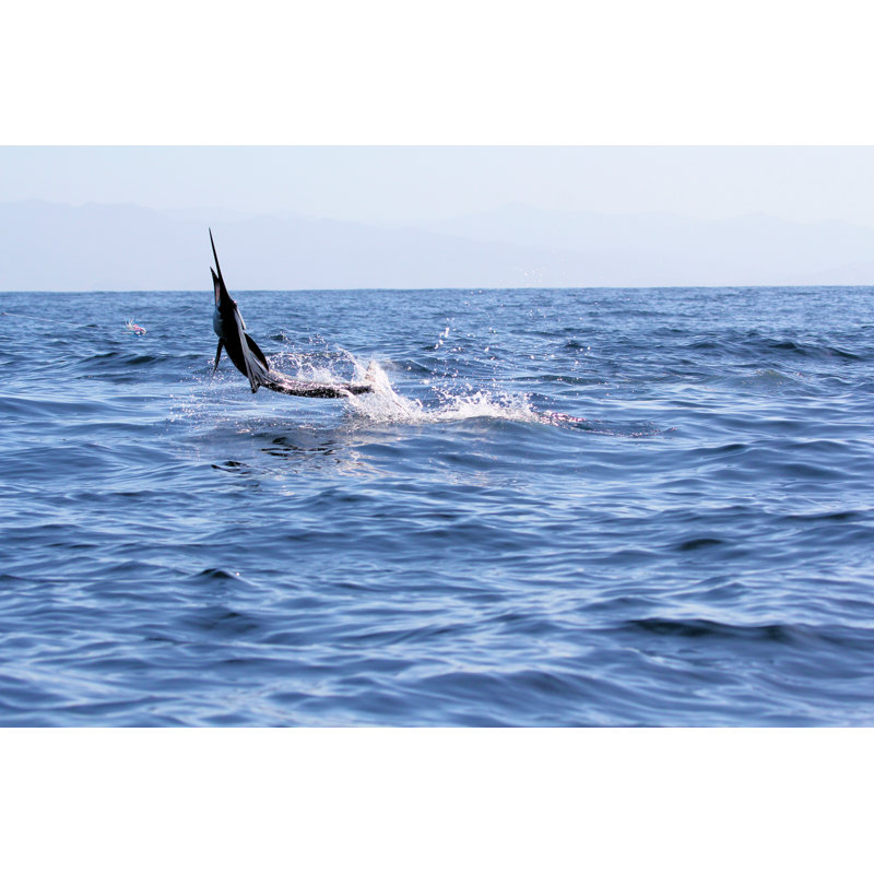 " Sailfish Jumping Off " by David_Pibrac, 8" H x 12" W x 1.25" D