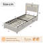 Single (3') Drawers Bed