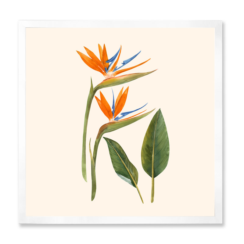 Fleurs de strelitzia rétro - impression sur toile, H 16 po x l 16 po x P 1 po, Cadre photo blanc