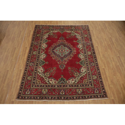 Classic Traditional Area Rug 8x11