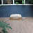 Bobbiesue Wicker Pet Bed