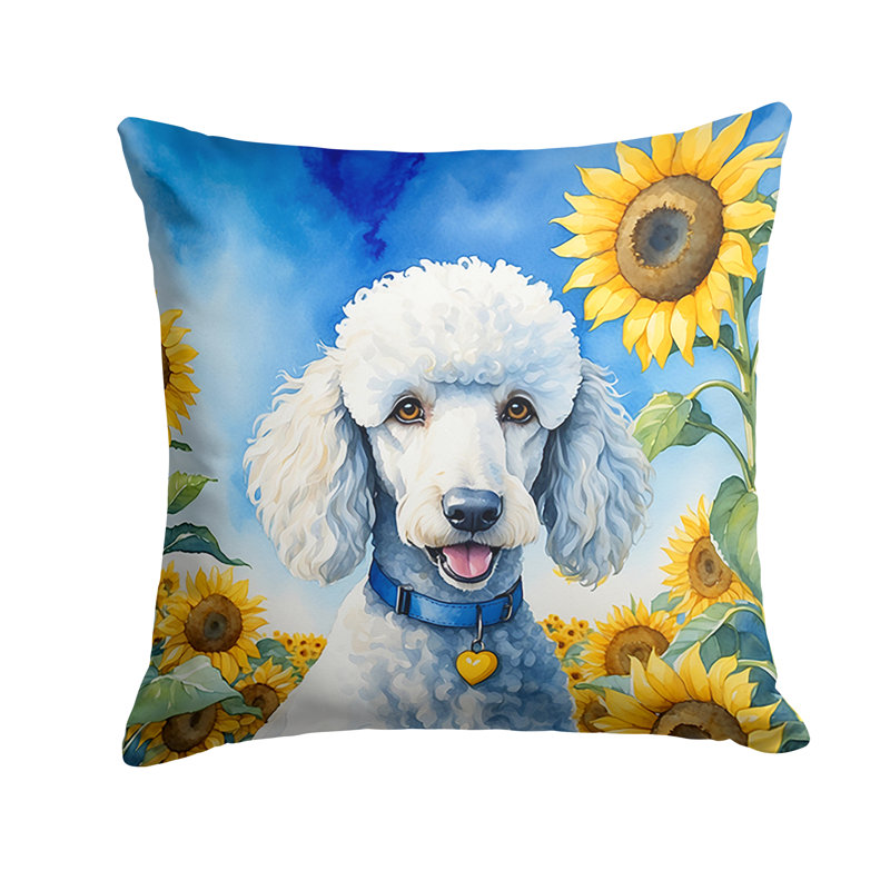 Coussin décoratif intérieur / extérieur Autre / Sans motif, H 14 po x l 14 po