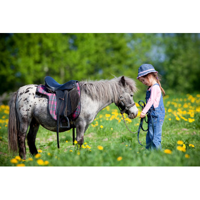 A Horse And A Child In A Field by Alexia Khruscheva - Wrapped Canvas Print