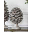 Charmante décoration de table en forme de pomme de pin, design traditionnel pour un décor naturel et polyvalent