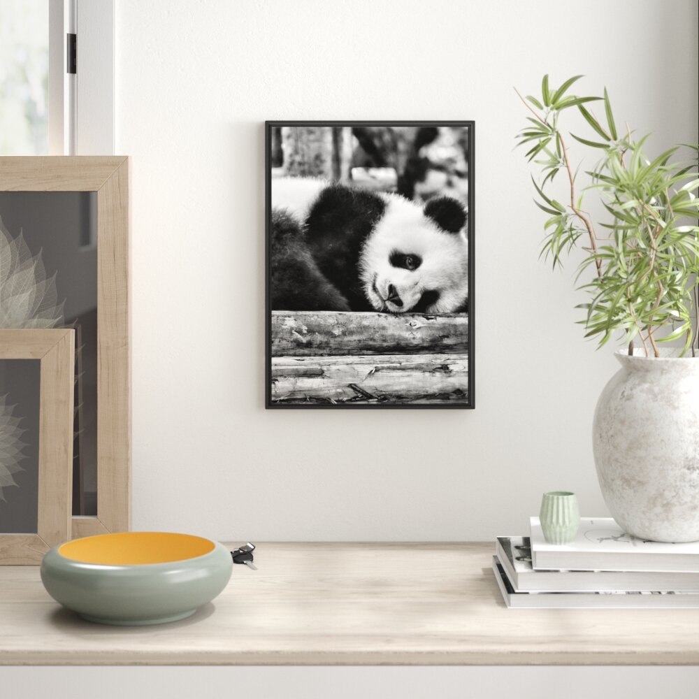 Gerahmtes Wandbild süßer kleiner Pandabär