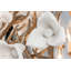 Lily 1 Light Wall Sconce