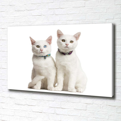 White Cats - Wrapped Canvas Print