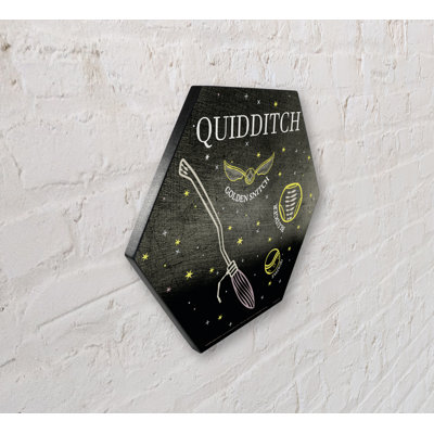 Harry Potter (Quidditch - Artifact ) Knexagon Wood Print
