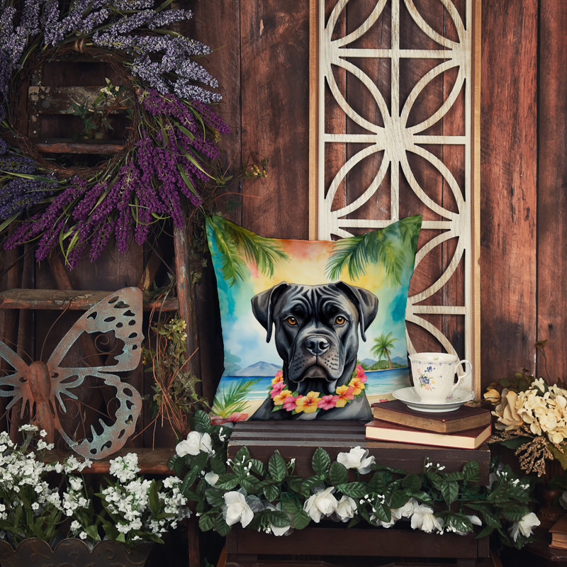 Other/No Pattern Outdoor Throw Pillow, 14"H x 14"W
