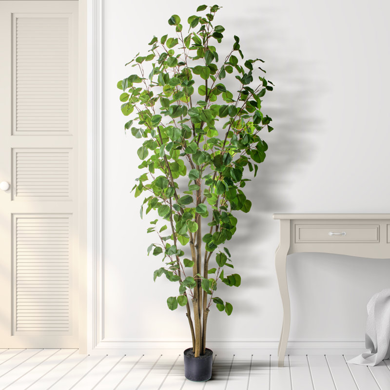 Eucalyptus artificiel en pot, H 72 po x l 12 po x P 12 po