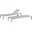 Caggiano Outdoor Metal Chaise Lounge Set