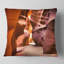 Coussin Schafer-931858637-931858673
