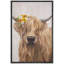 Highland Shetland, vache, animaux, décor naturel, ferme, faune sauvage-101091313-101091316
