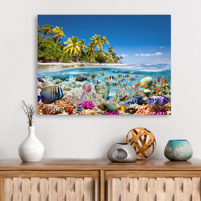 3AP5603 Underwater Life by Pangea Images - Wrapped Canvas Art Prints