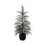 SEASONAL GREENERY TREE S/2 CEDAR FLOCKED POT 2FT