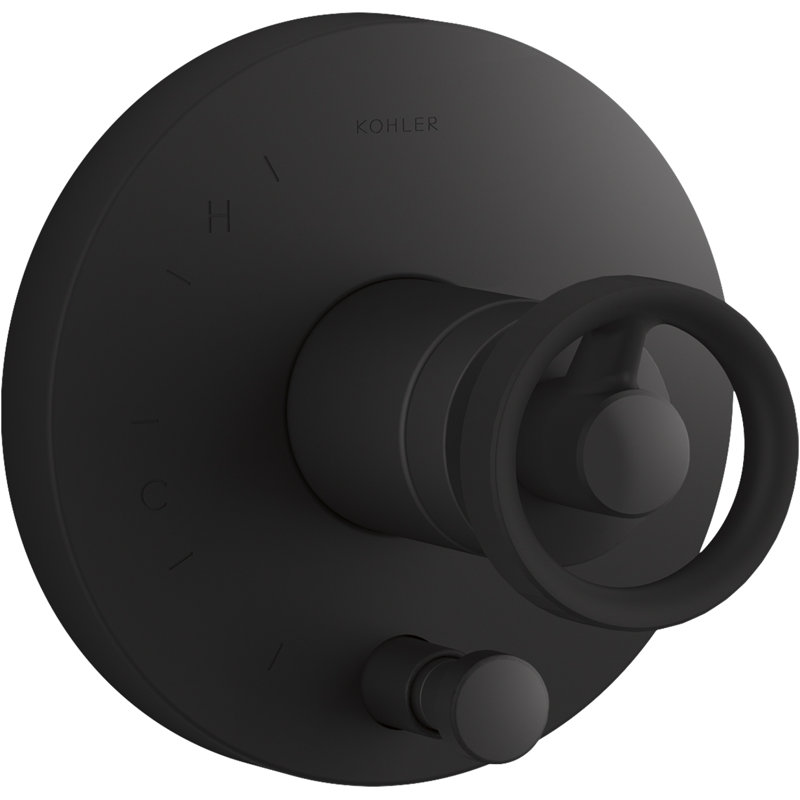Components Rite-Temp Shower Valve Trim with Diverter and Industrial Handle, Noir mat