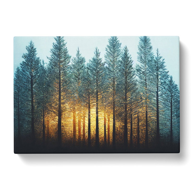 XXX-H1022-WF-8663X Super Pine Tree Forest - Wrapped Canvas Print