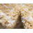 Walsenburg Oriental Indoor Rug