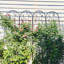 Treillis en métal pour jardin-481118236