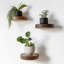 Ensemble de 3 tablettes murales décoratives rondes en bois massif pour plantes