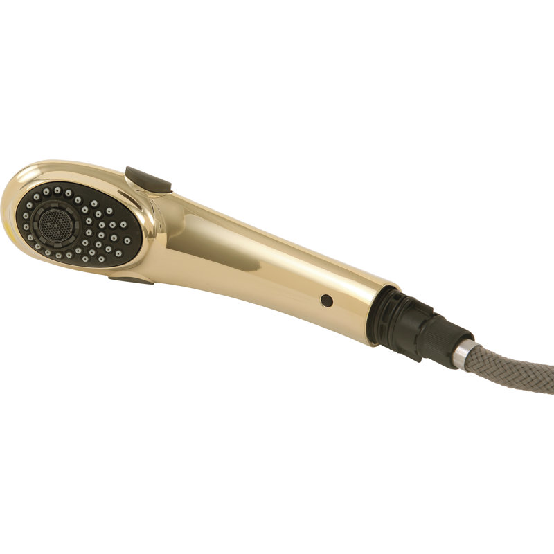 Signature Pull-Outs Side Sprayer, Chrome / Brass