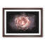 Pink Tipped Rose Flower - Picture Frame Graphic Art Print-56861648-56861652