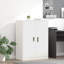 Storage Cabinet-1124211373