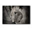 Lion pensif - reproduction de photo sur toile tendue-2102798730