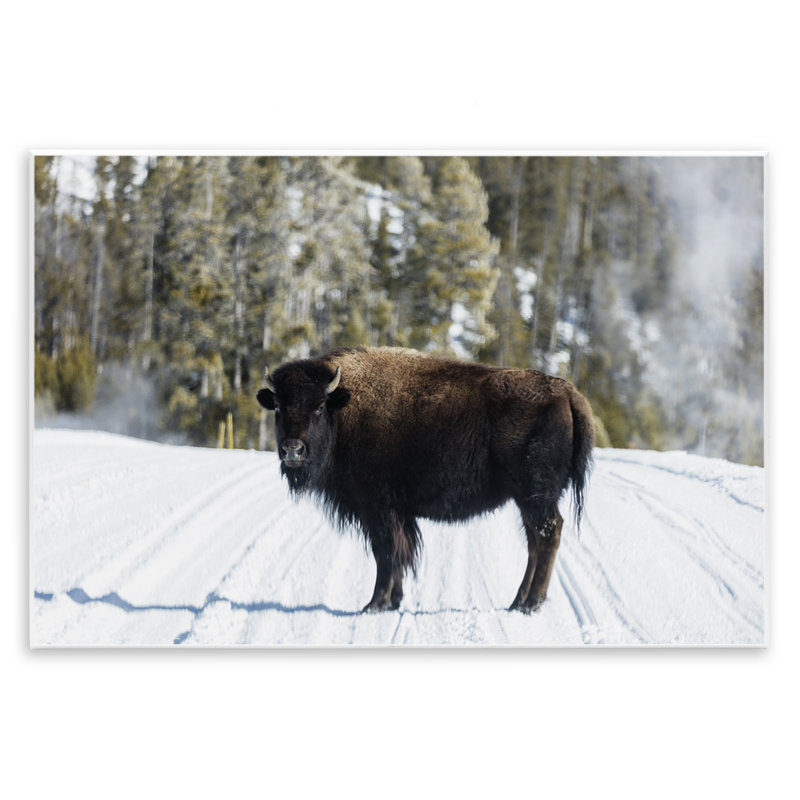 Bison sur une piste enneigée, art mural, conception par PIDDIX, H 10 po x l 15 po
