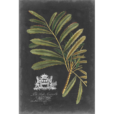 Royal Foliage II by Vision Studio - Painting