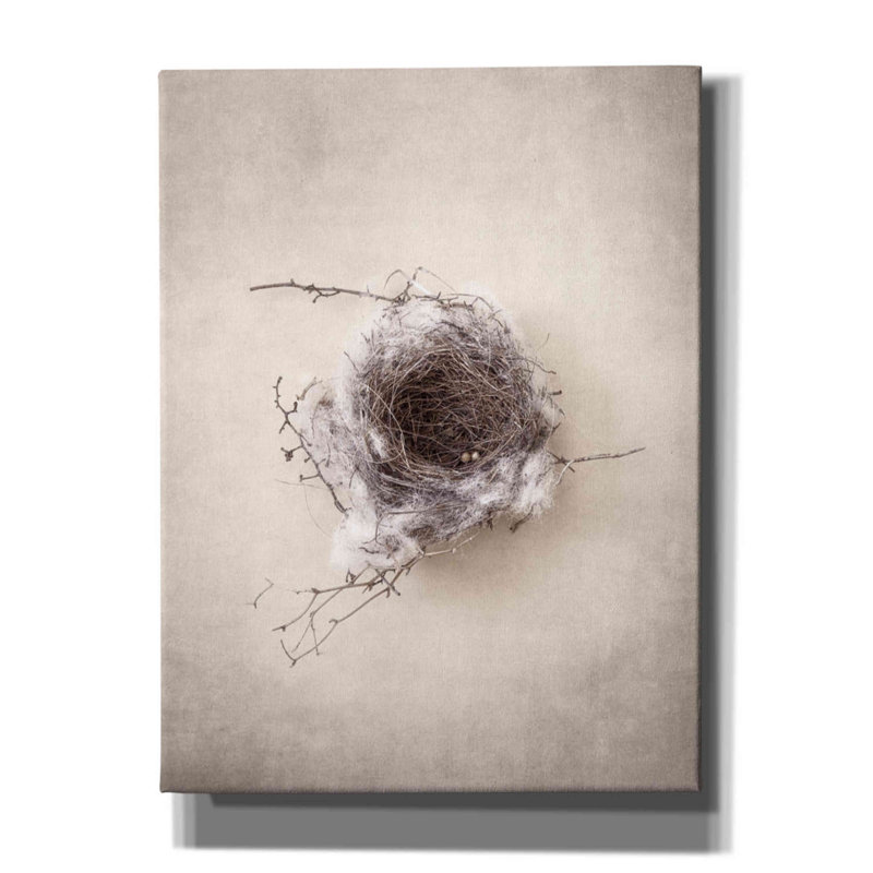 «Latitude III®» Nest III par Debra Van Swearingen, art mural sur toile, H 16 po x l 12 po x P 0,75 po