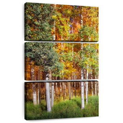 Aspen Glen I