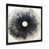 Black Picture Framed