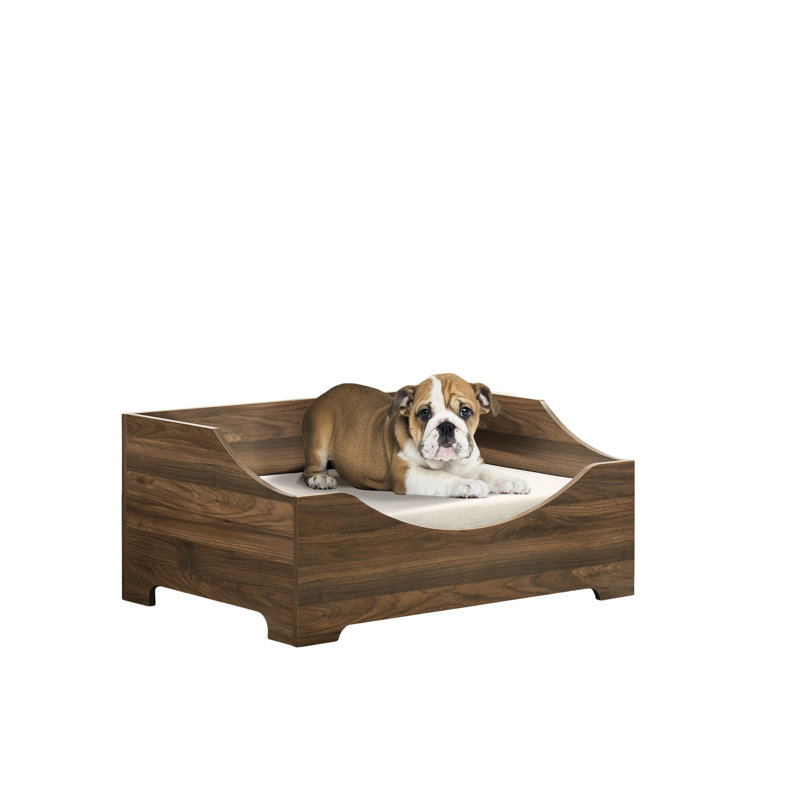 Lit pour animaux 36 po Comfy, brun, housse de coussin amovible, style moderne, lit d'une capacité de 22 lb avec coussin, finition brune, confortable