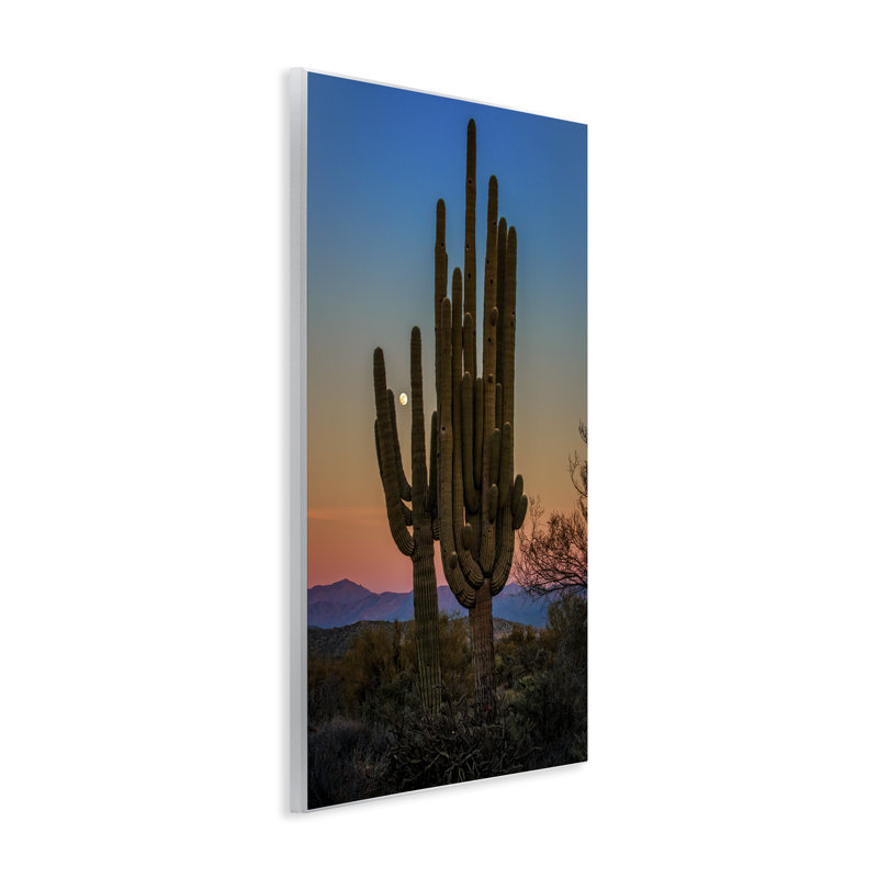 Art mural de silhouettes de cactus avec lune par Rick Berk, H 15 po x l 10 po
