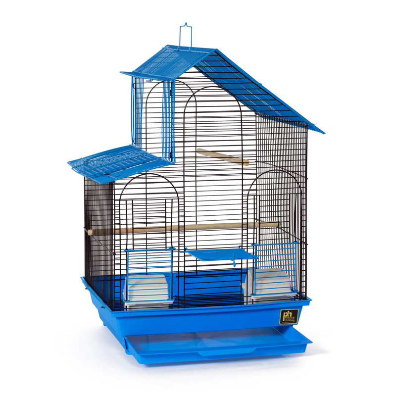 Cage à oiseaux avec perchoir 24 po, Bleu / noir
