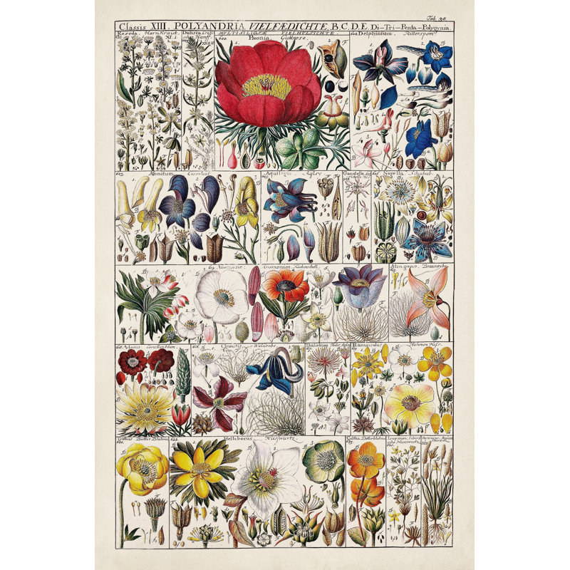 " Floral Chart " by Vision Studio, 12" H x 8" W