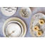 Aurora Stoneware Dinner Plate