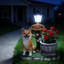 Décoration de jardin pour chien assis Akita