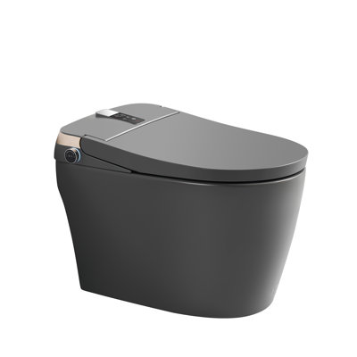 15-3/4'' H Floor Mount Smart Toilet with Tankless and Soft-closing Heated Seat