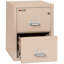 Fireproof 2 - Drawer File Cabinet-3079047