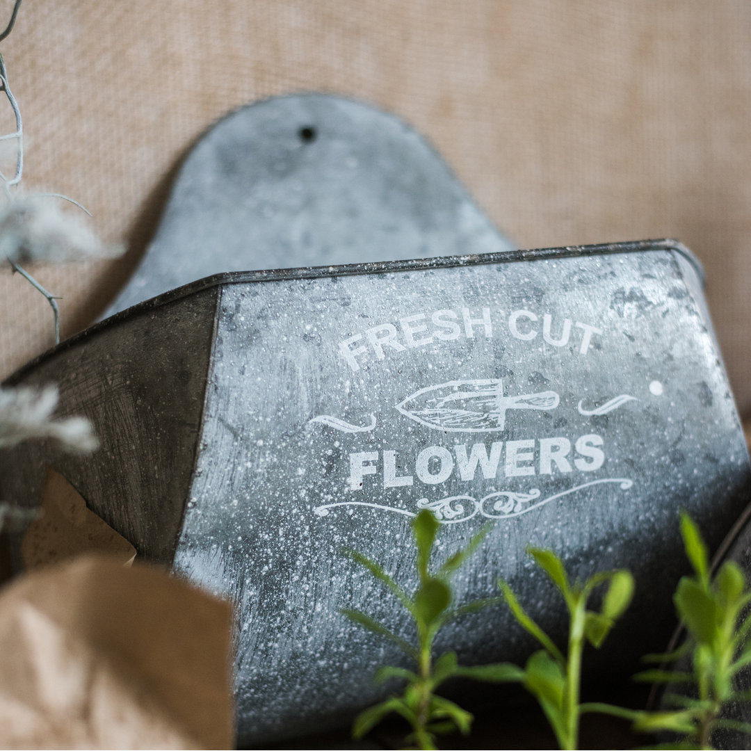 Slavin Metal Wall Planter Gracie Oaks 