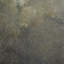 Secret Garden (Set of 2)