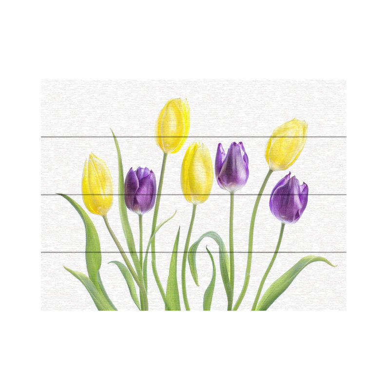 Tulipe sur bois par Mandy Disher, H 12 po x l 16 po