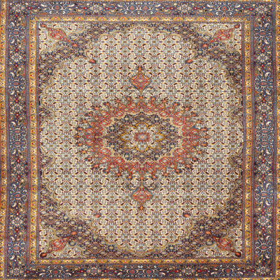 Oriental Indoor Rug