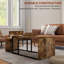 Arbela Nesting Coffee Table Set of 2 Industrial Rustic Brown
