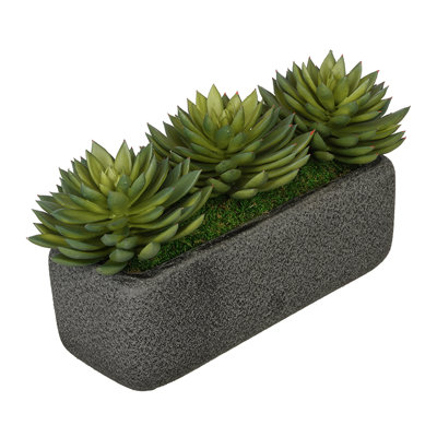 Plante Echeveria artificielle pointue dans un vase décoratif