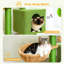 Grand arbre à chat 35,4 po Cactus-1434853937