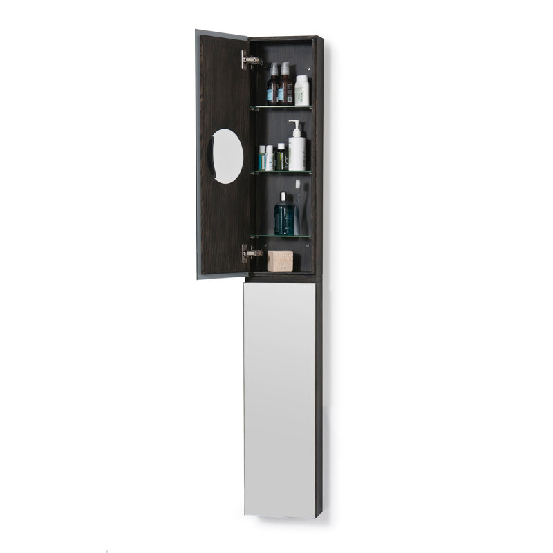 Zone 10'' W Mirrored Medicine Cabinet, Dark Oak