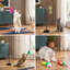 Pour le jeu et l'exercice à l'intérieur, cet ensemble de 15 pièces de baguette pour chat et de plumes offre 2 modes de jeu et une ventouse réutilisable.